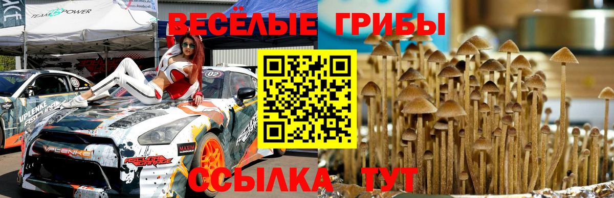 Галлюциногенные грибы Cubensis Железногорск